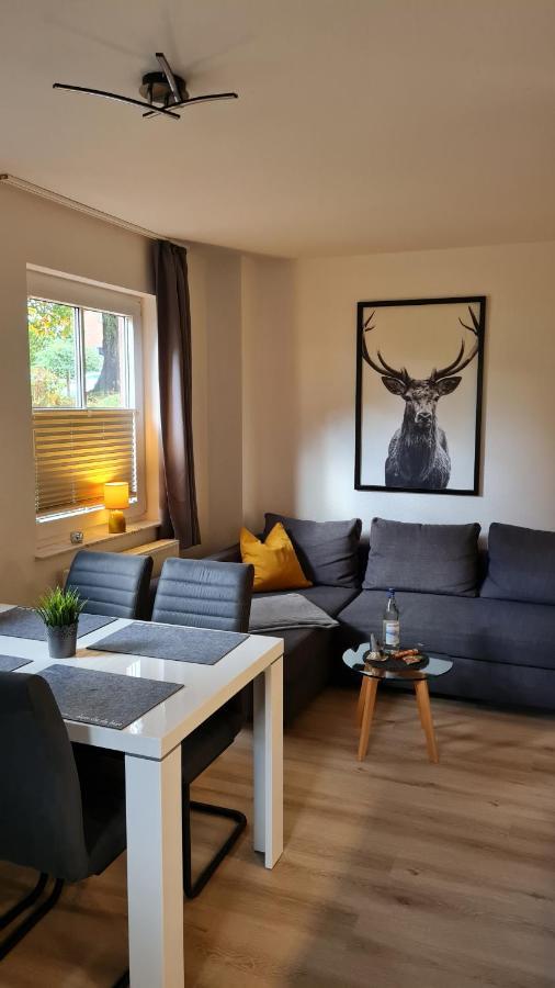 Ferienwohnung Braunlage - Gemuetliche Auszeit Zewnętrze zdjęcie